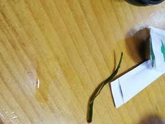 -真利味·脊骨火锅·正宗韩国料理(韩乐坊店)