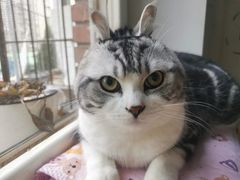 -宠颐生中康贝怡动物医院
