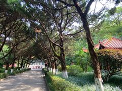 -南岳衡山风景名胜区-南岳大庙