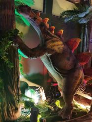 点击看大图 -恐龙探索乐园(磁器口店)