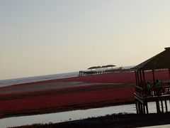 -红海滩国家风景廊道