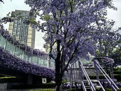 -龙湖南京江北天街