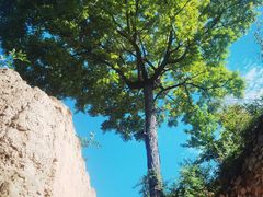 -萝卜寨羌文化生态旅游区