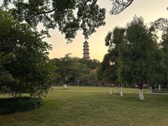 -江心屿景区