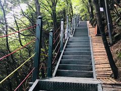 -梦幻奥陶纪景区