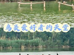 -翠湖国家城市湿地公园