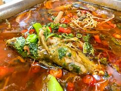 -熊猫家新派川菜(百里一·龙兴集店)