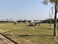-洋湖国家湿地公园