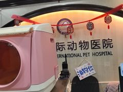 -宠爱国际动物医院·消化内科·心肾内科·ISFM猫友好(望京店)