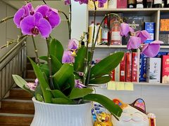 -陆记鹅庄·潮汕菜·狮头鹅(大仟里店)