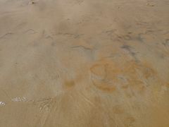 -青岛银沙滩温德姆至尊酒店