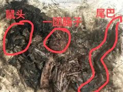 -御面斋精品面馆