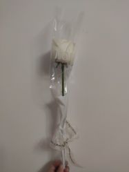 -1T·1M 日式美甲美睫