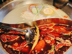 -辣伍鲜毛肚老火锅(元一店)