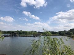 -溱湖国家湿地公园