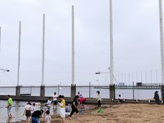 -碧海金沙