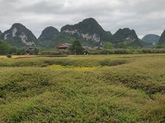 -靖西鹅泉风景区