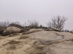 -白水寺森林公园