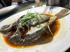 清蒸多宝鱼-海鲜e族(马王堆店)