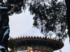 -故宫博物院(故宫)
