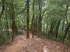 -灵岩山风景区