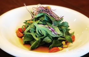 Secret-Recipe South African Ice Plant