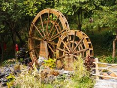 -广州白江湖森林公园