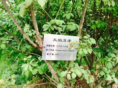 -钓鱼台国宾馆