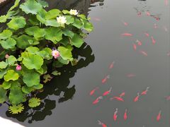 -北京市劳动人民文化宫(太庙)