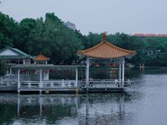 -荔湾湖公园