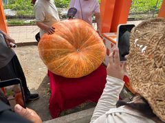 -长春农业博览园