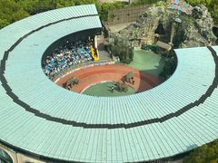 -上海野生动物园