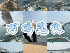 -海驴岛(荣成市)