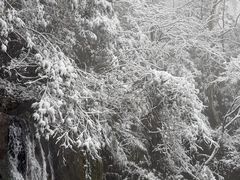 -藏龙百瀑风景区