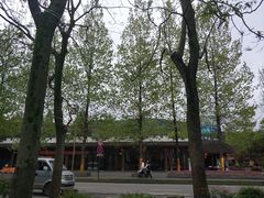 -张醪糟(街子店)