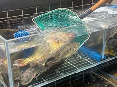 -西山人家·二十年老字号农家菜(旺山店)