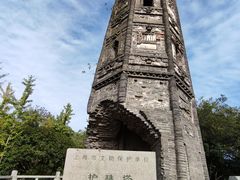 -上海佘山国家森林公园天马山园