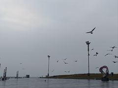 -东港音乐喷泉广场