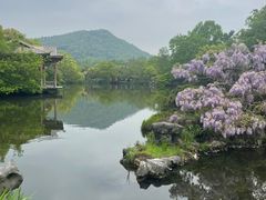 -西湖外事游船(花港观鱼码头)