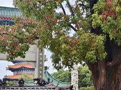 -广东圆玄道观