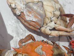 -半岛听涛蒸汽海鲜自助(K11店)