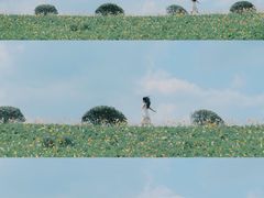 -紫颐香薰山谷景区