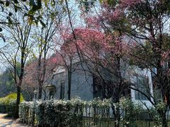 -青龙山国家森林公园
