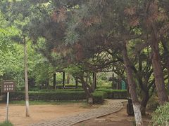 -前关湿地公园