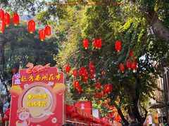 -越秀西湖花市(广州城市广场花卉店)