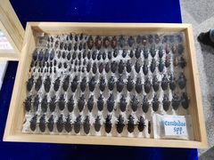 -广州市第二少年宫