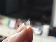 -火炉山森林公园