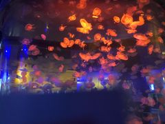 -华夏文旅西安度假区