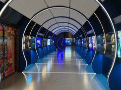 -万达影城(汉街万达广场IMAX店)