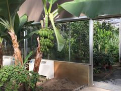 -陆地游轮吉林神农温泉